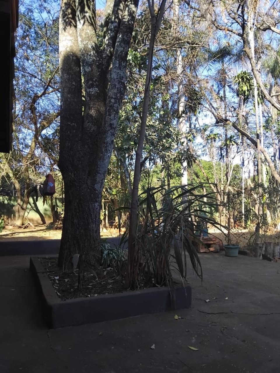 Villa Sitio Bemtevi - Jockey Camping - Uberlândia Extérieur photo