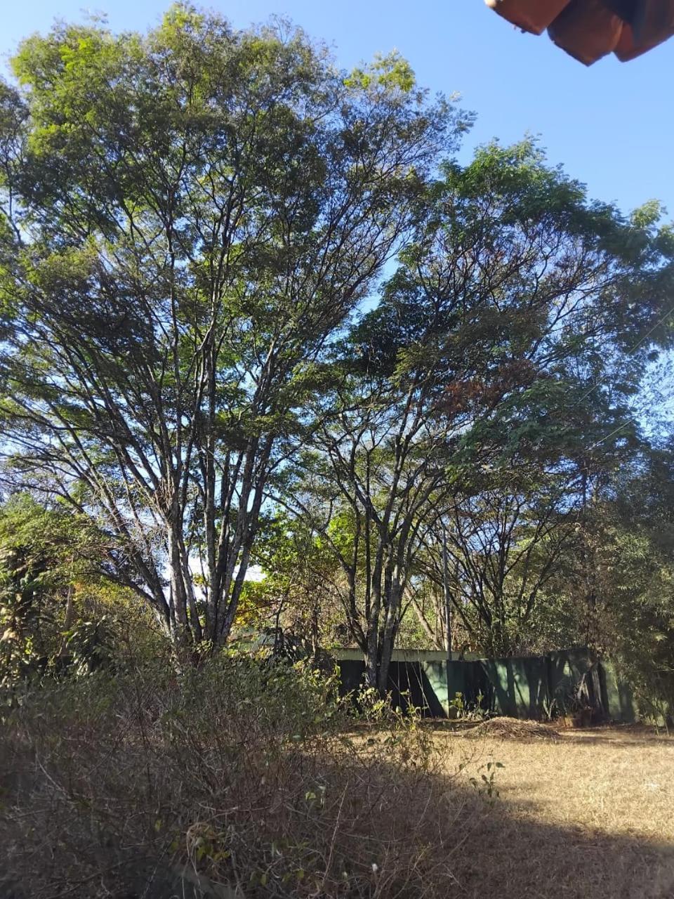 Villa Sitio Bemtevi - Jockey Camping - Uberlândia Extérieur photo