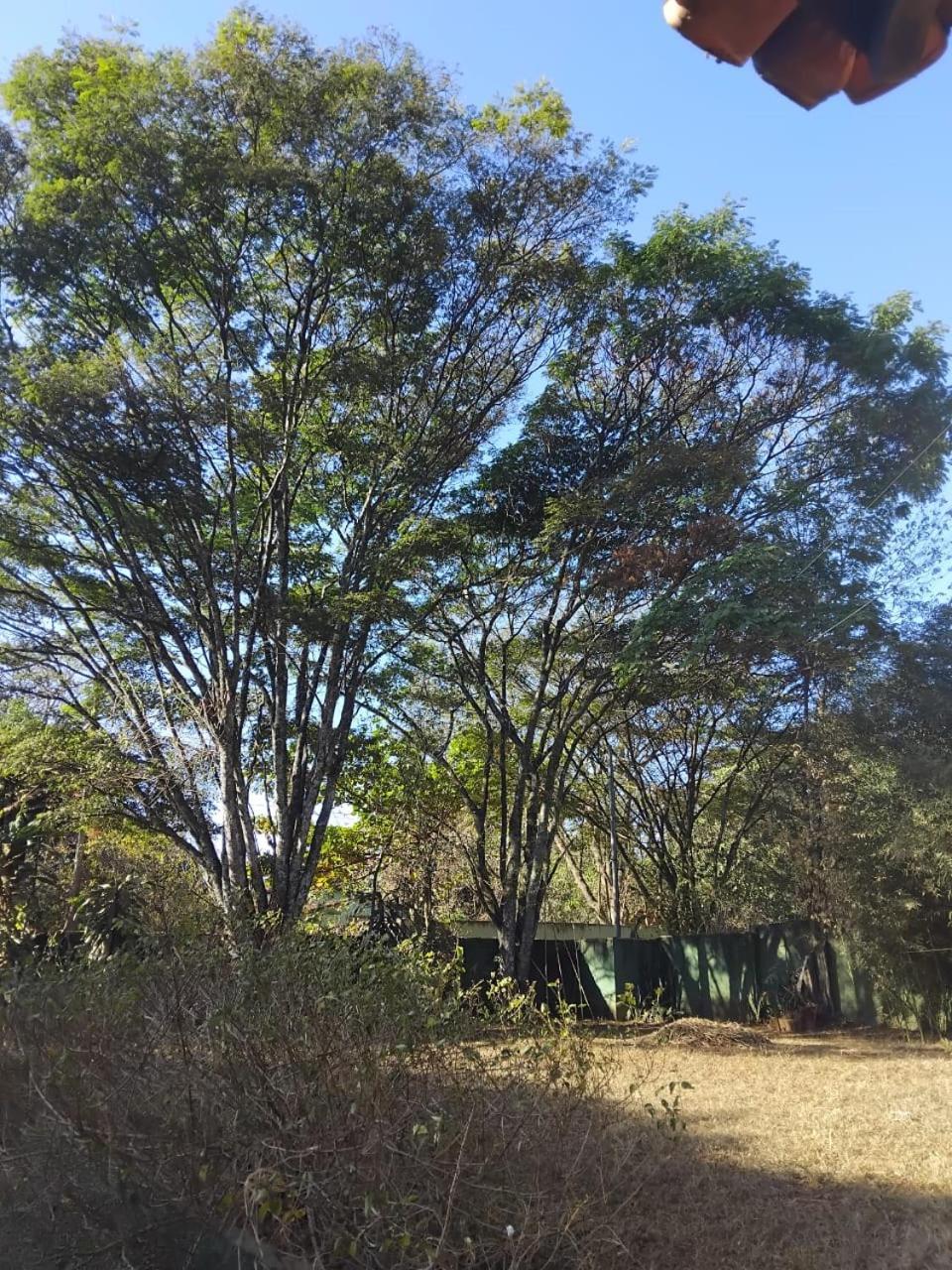 Villa Sitio Bemtevi - Jockey Camping - Uberlândia Extérieur photo